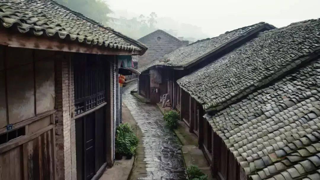 破碎的动物图形2